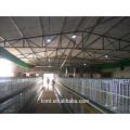 The top 4 layers of the broiler chicken cage shipped to South Africa